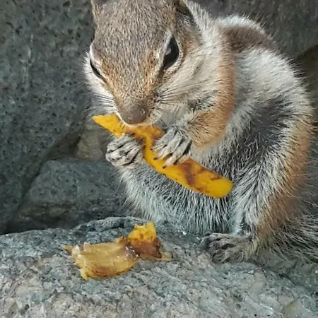 Lägenhet Puerta Del Sol