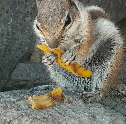 Lejlighed Puerta Del Sol